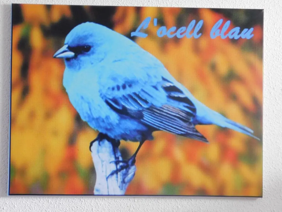 בית נופש הוילה Miami Playa L'Ocell Blau ספרד